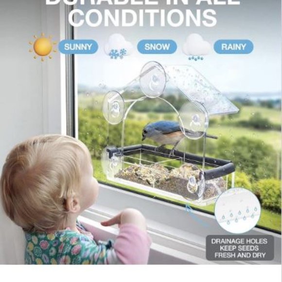Entirely Zen Window Bird Feeder - All Weather Clear Acrylic Bird Feeder - Picture 4 of 6